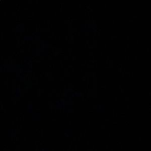 Meet your Posher, Hunter